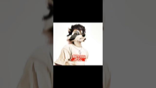 семейный контент #raccoonroll