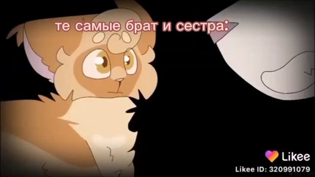 я кинню Коршуна