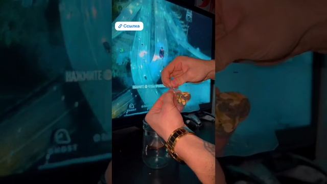 1003405687.mp4