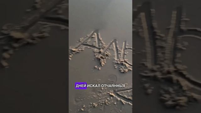 ФАНАТЫ ЕГОРА КРИДА НАБИЛИ ТАТУ С ТРЕКАМИ ИЗ ЕГО НОВОГО АЛЬБОМА #крид #егоркрид #тату #татуировки