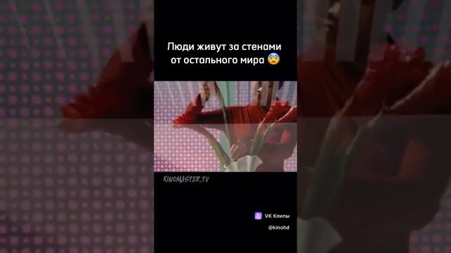 Живут за стенами мира. Фильм. Что посмотреть?
