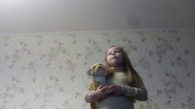 VID_20241123_090419.3gp
