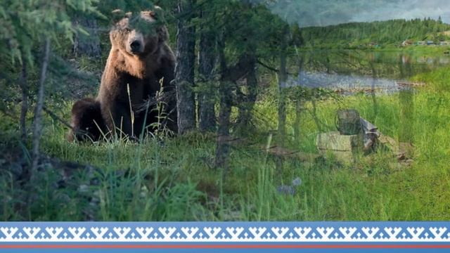 Вечерний разговор о Коми крае
