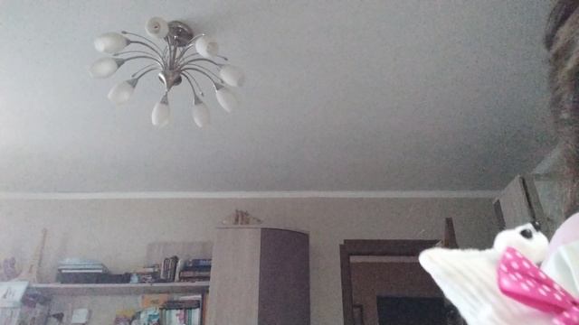 насок семми едит в болницу на опирацию