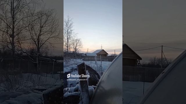 Из теплицы с животными валит пар