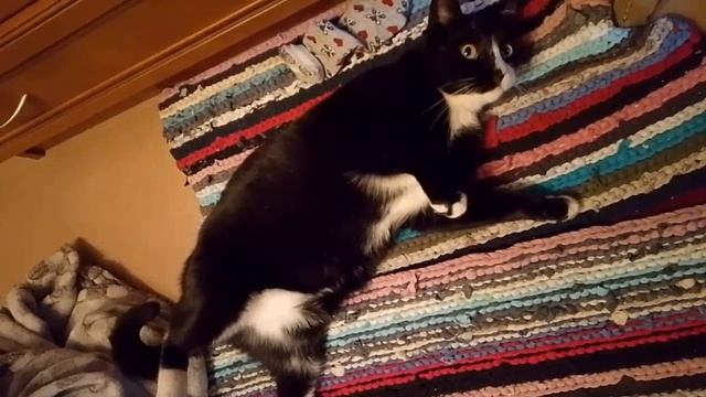 Марся собственник