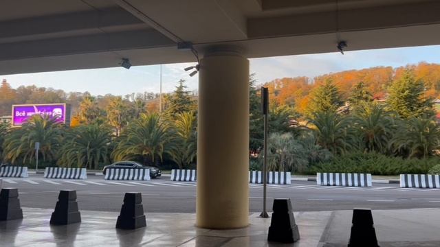 ✈️vlog: поездка в Сочи✈️