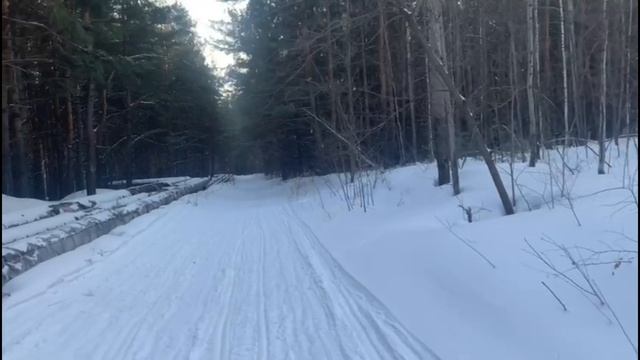 Самые важные навыки жизни для счастья