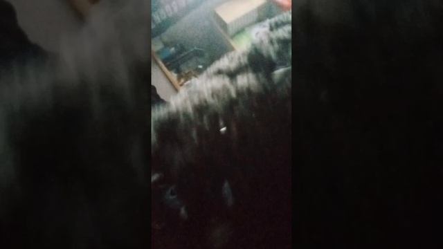 # Сборник нашего вечера 🌆 #