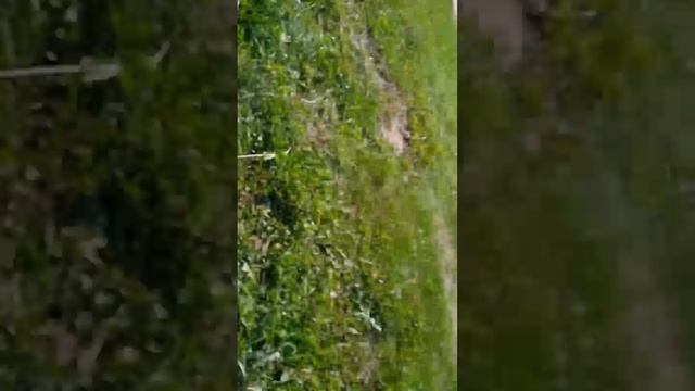 Катаемся на самой прочной карусели которой с не ни кто не упадет