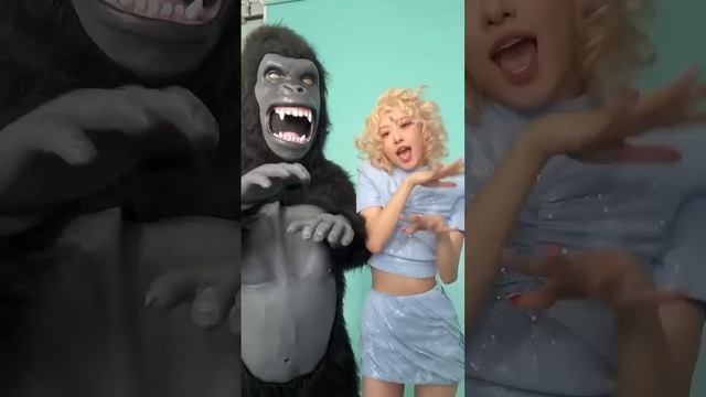 Rose_Gorilla_APT💙