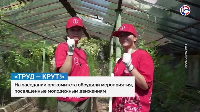 В Севастополе пройдут мероприятия, посвященные молодежным движениям