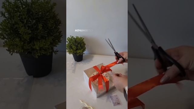 Доброе утро