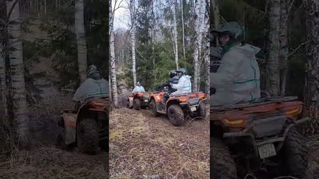 покатушки на квадроциклах