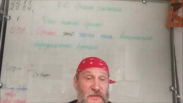 22.11.24. Биология 6. Арбуз, дыня, тыква, огурец, помидор- ягоды!