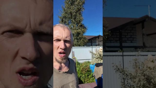 Варю грибы