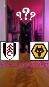 Прогноз на 12 тур АПЛ. Фулхэм - Вулверхэмптон.