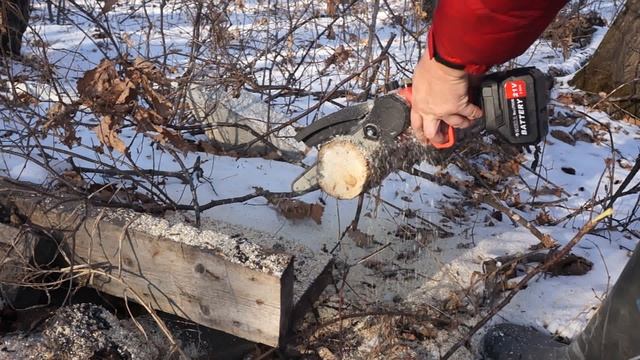 Сабельная аккумуляторная пила против цепной мини-пилы