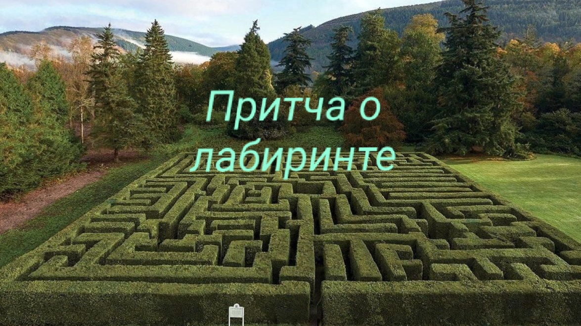 Ответы на твои вопросы 💕