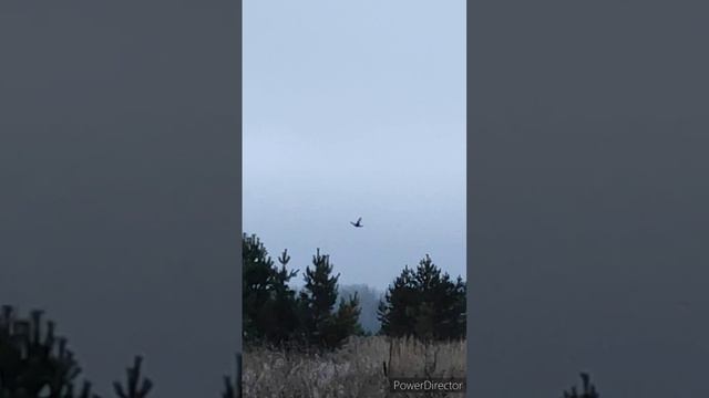 Поздняя осень в Докше.mp4