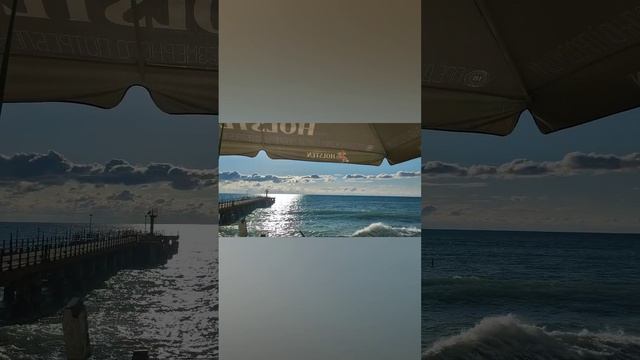 1000044034.mp4