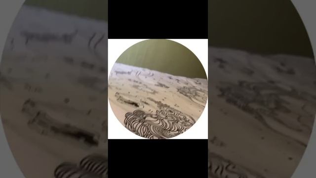 Котопёс-доброе утро🌄🙋