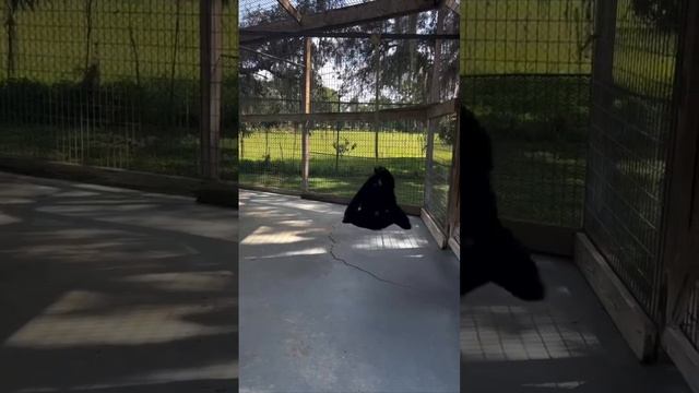 Не накручивай себя
Я: