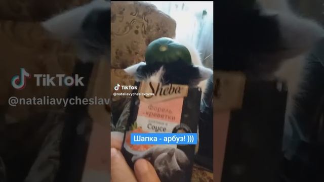 Какую шапку?...)))