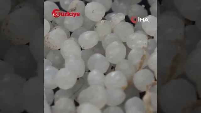 В Турции выпал пластиковый град - местные жители требуют расследования.