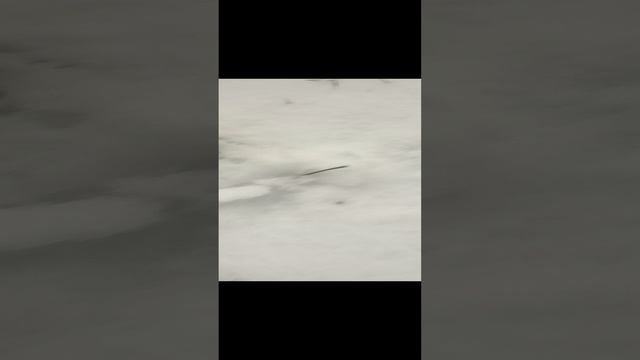 Авто шоу 
1-я серия