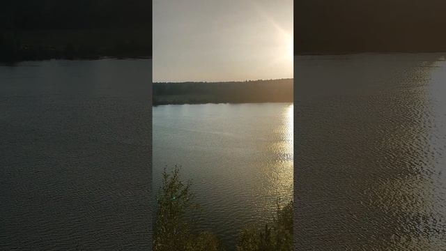 1000045064.mp4