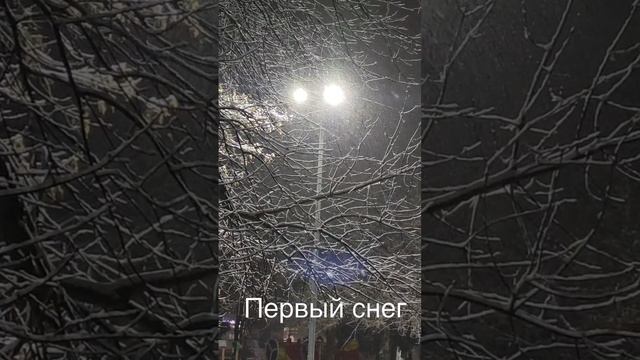 Первый снег в парке. Сокол, Вологда