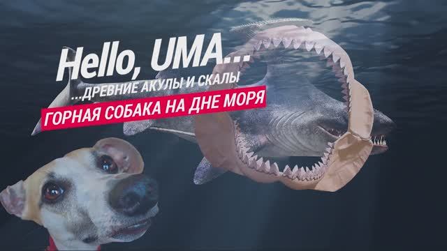 Умка горная собака на дне моря