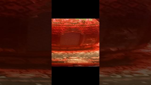 1000010667.mp4