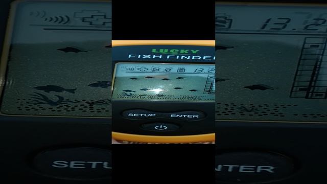 1000003372.mp4