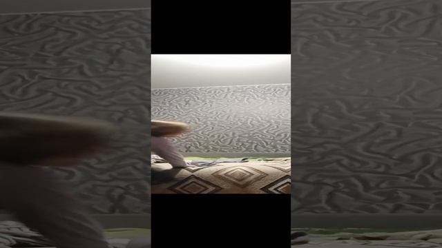 VID_20241122_203736.mp4