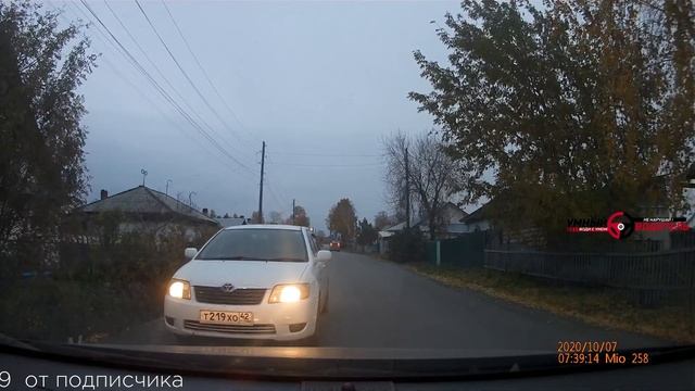 Подборка САМЫХ УМНЫХ водителей #421