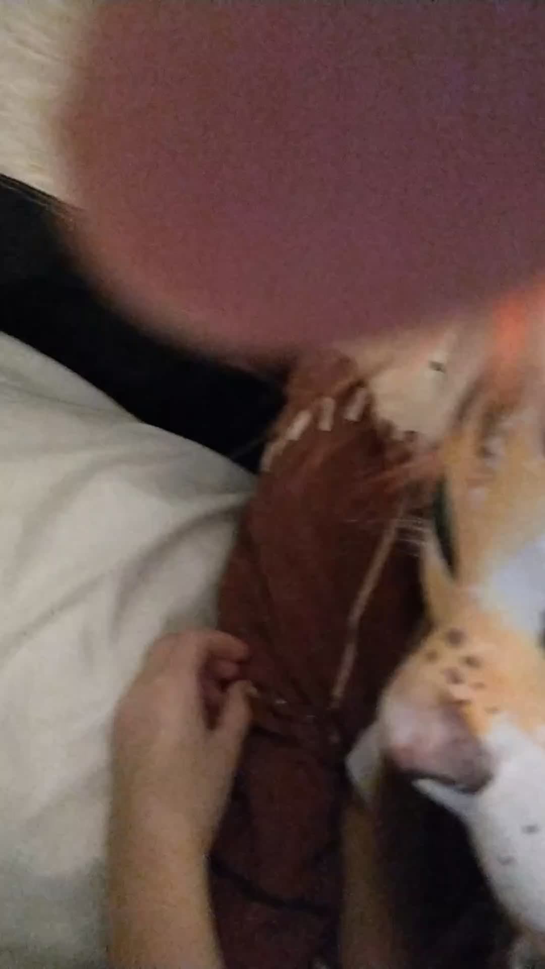 лл