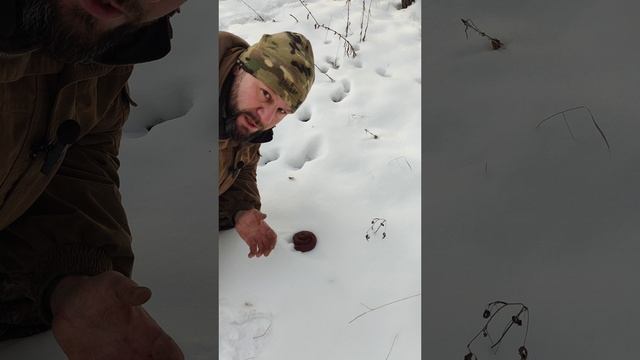 это спасет вам жизнь