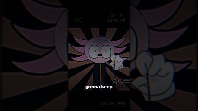 kinito pet