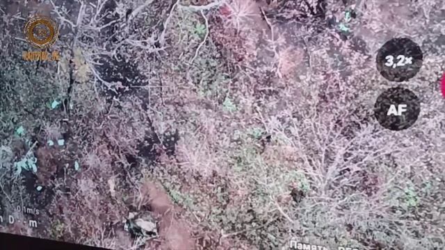 Командир батальона «Шустрый» спецназа «АХМАТ» координирует действия при помощи «птички».