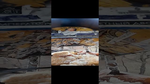 1000033240.mp4Жизнь кормушки.23.11.2024г.