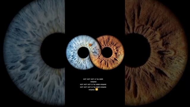 мои глаза с лп мои карие 🤎 ее голубые 🩵