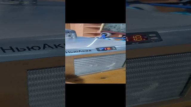 VID_20241122_213627.mp4