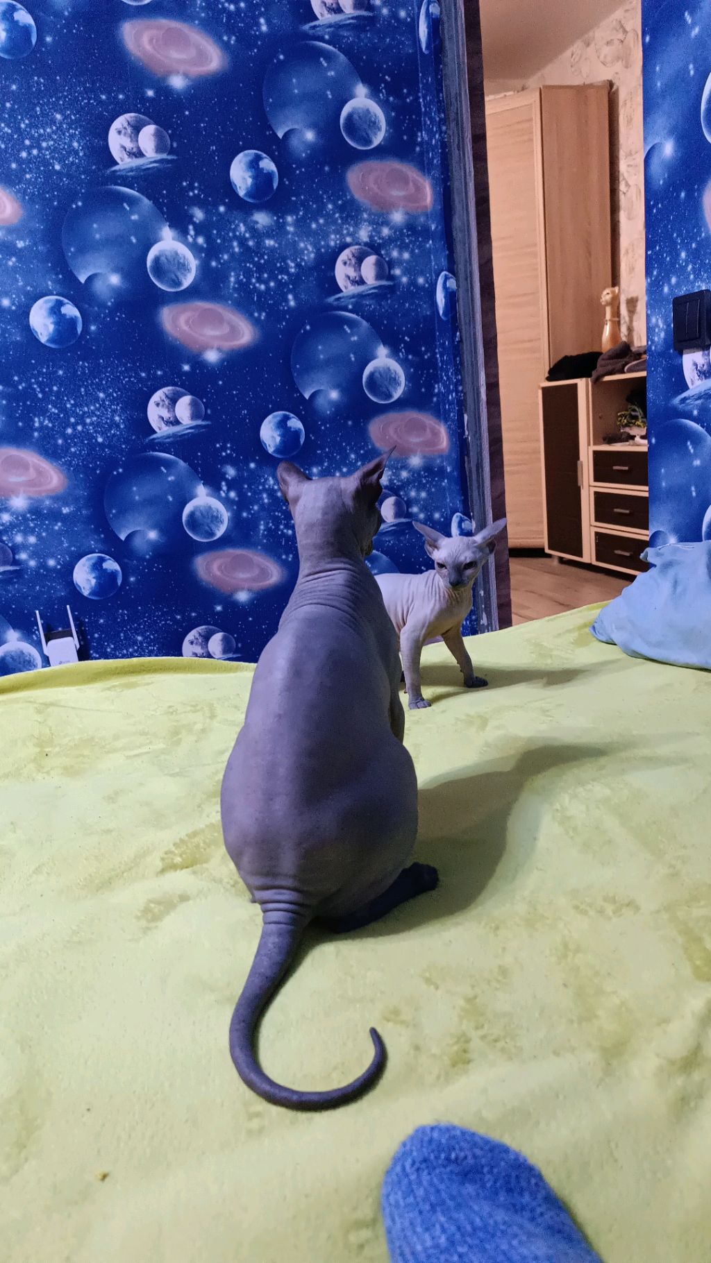 всем привет