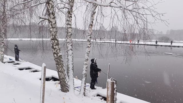 Зарыбление форели,форелевая рыбалка РК "Фишка" Петряиха