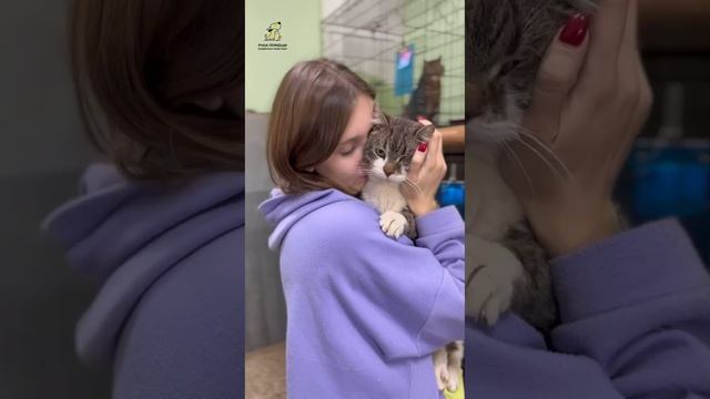 Бейлис, полный любви! Поддержать⬇️