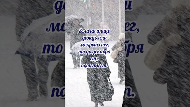 24 ноября# Федор Студит# приметы и обычаи