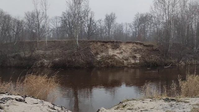Мобиба. Выезд 22.11.24