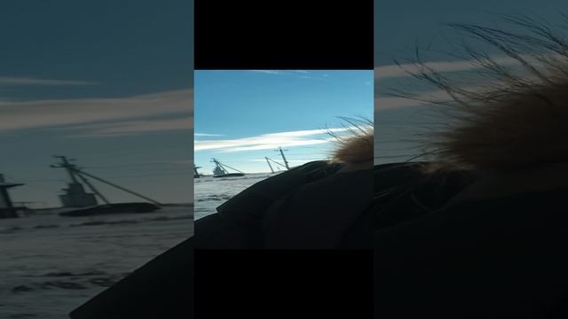 1000186917.mp4